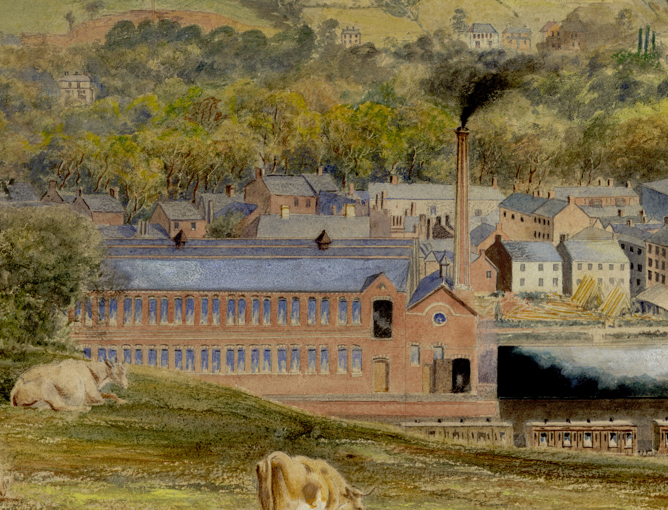 Steam-driven woollen mill, Newtown