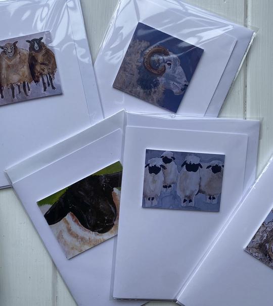 Cards with pictures of sheep